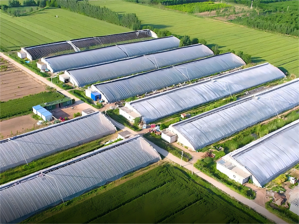 易豐農(nóng)業(yè)