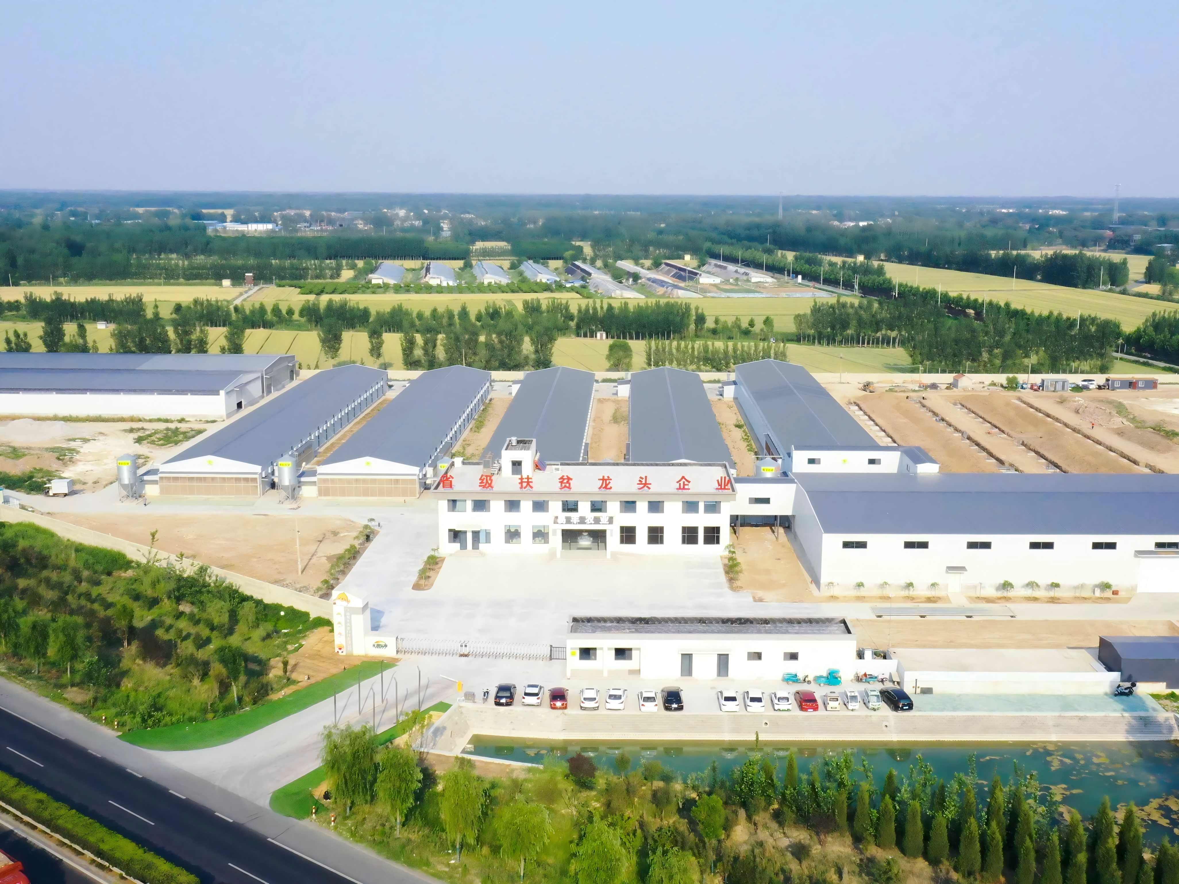 長(zhǎng)田樂(lè)享超鮮蛋農(nóng)場(chǎng)