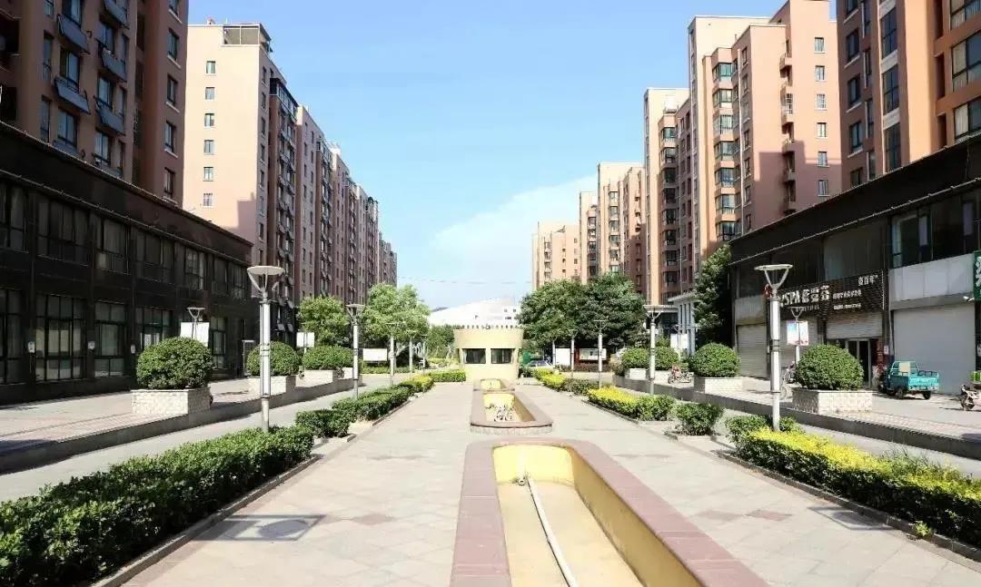 1626328733229262.jpg 20210228052931968.jpg