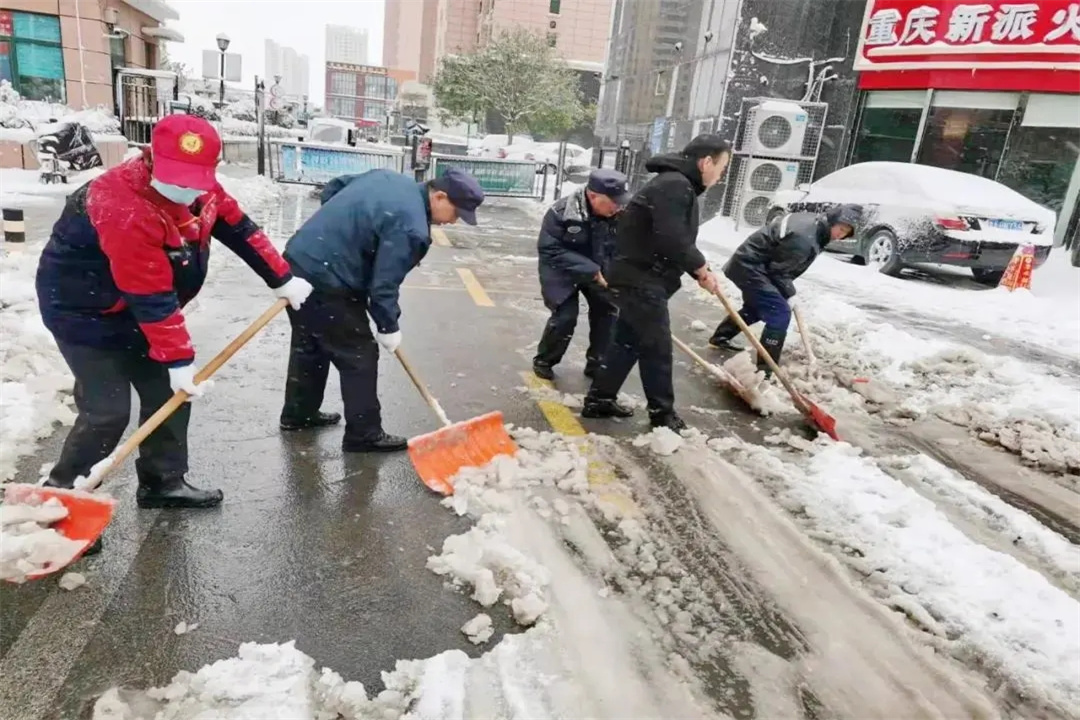 1636709531517904.jpg 640.webp (4).jpg