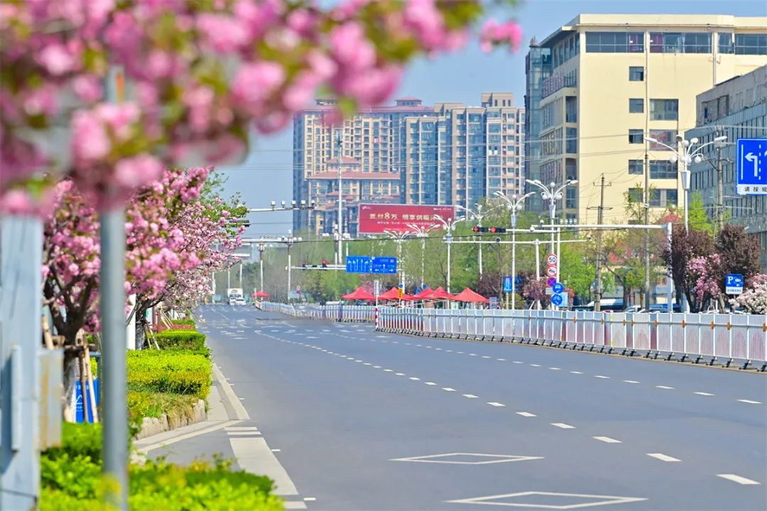 1657609708234563.jpg 8.jpg